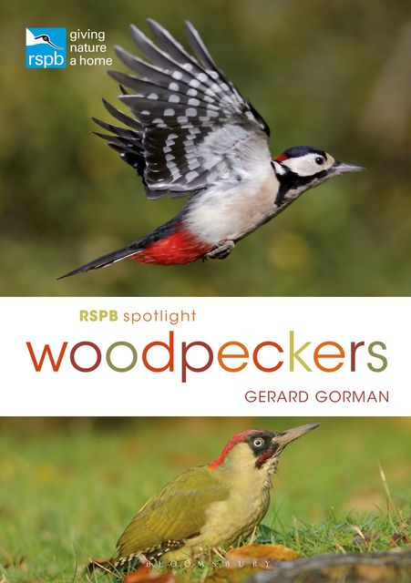 RSPB Spotlight Woodpeckers, Gerard Gorman