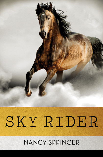 Sky Rider, Nancy Springer