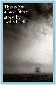 This is Not a Love Story, Lydia Peelle
