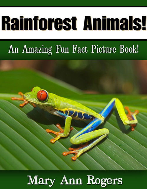 Rainforest Animals, Mary Ann Rogers
