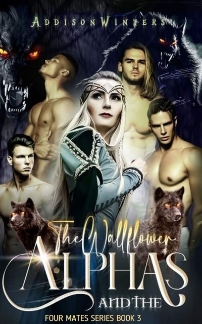 The Wallflowers And The Alphas, Addison Winters