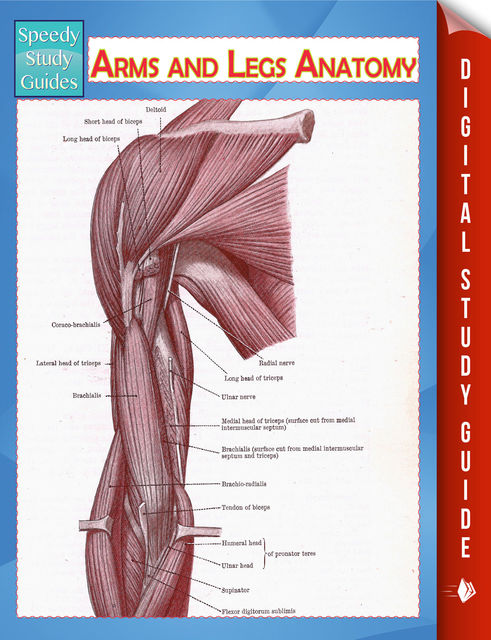 Arms and Legs Anatomy (Speedy Study Guide), Speedy Publishing