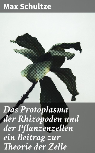 Das Protoplasma der Rhizopoden und der Pflanzenzellen ein Beitrag zur Theorie der Zelle, Max Schultze