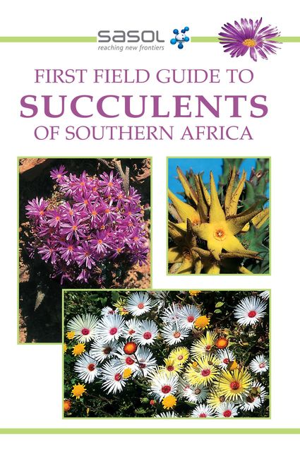 First Field Guide to Succulents of Southern Africa, John Manning