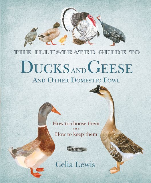 The Illustrated Guide to Ducks and Geese and Other Domestic Fowl, Celia Lewis