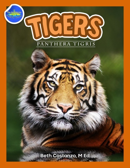 Tigers, Panthera Tigris ages 2–4, Beth Costanzo