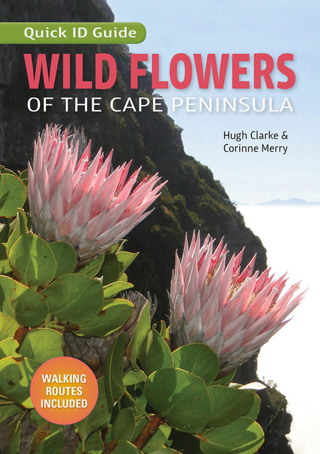 Wild Flowers of the Cape Peninsula – Quick ID Guide, Hugh Clarke, Corinne Merry