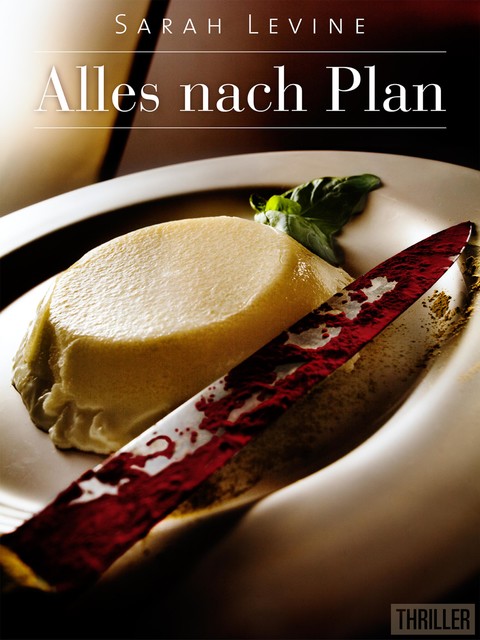 Alles nach Plan, Sarah Levine