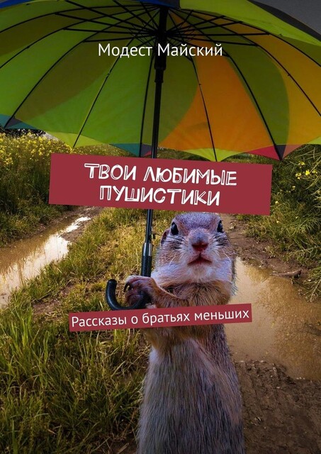 Мы выбираем, нас выбирают, Модест Майский