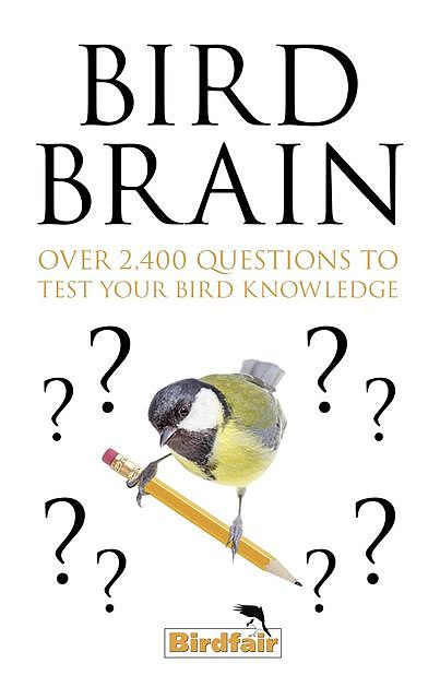 Bird Brain, Charles Gallimore, Tim Appleton