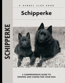 Schipperke, Robert Pollet