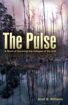 The Pulse, Scott Williams