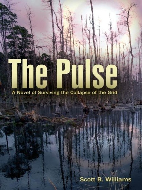 The Pulse, Scott Williams