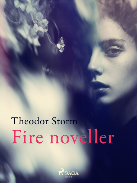 Fire noveller, Theodor Storm