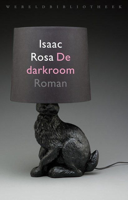 De darkroom, Isaac Rosa