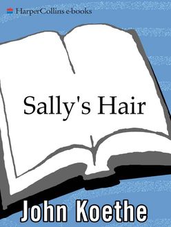 Sally's Hair, John Koethe