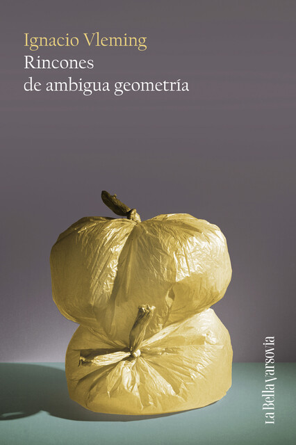 Rincones de ambigua geometría, Ignacio Vleming