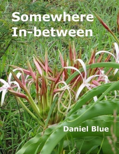 Somewhere In-between, Daniel Blue