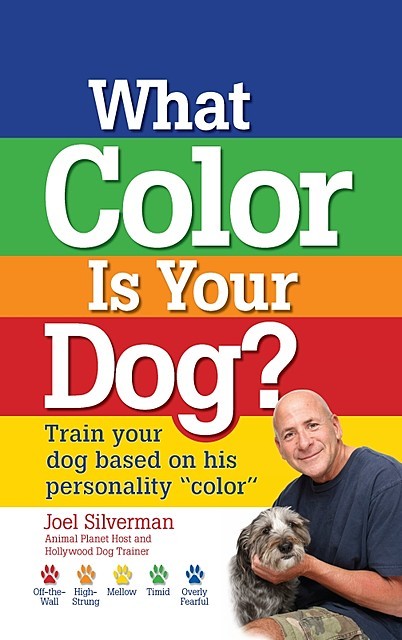 What Color Is Your Dog, Joel Silverman