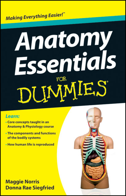 Anatomy Essentials For Dummies, Donna Rae Siegfried, Maggie Norris