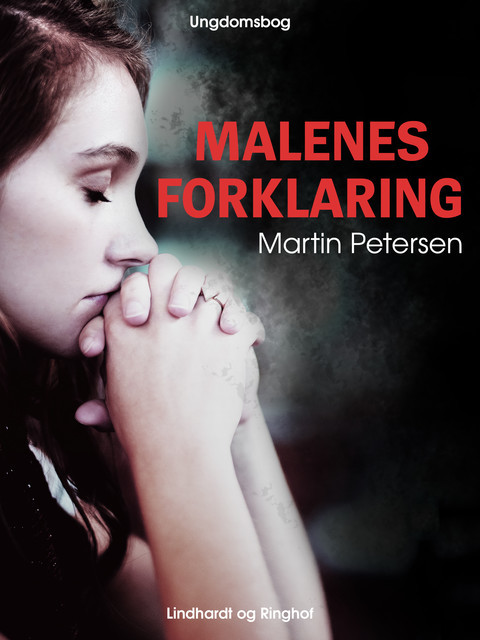 Malenes forklaring, Martin Petersen