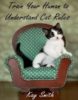 Train Your Human to Understand Cat Rules, Kay Smith