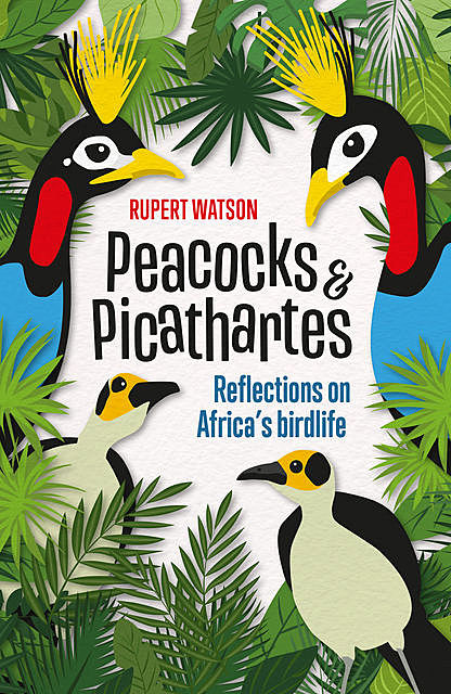 Peacocks & Picathartes, Rupert Watson