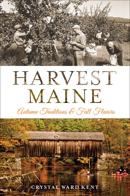 Harvest Maine, Crystal Ward Kent