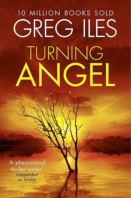 Turning Angel, Greg Iles
