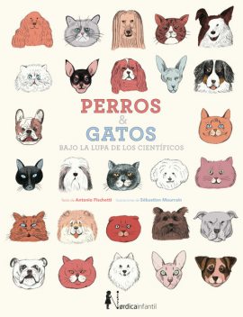 Perros & gatos, Antonio Fischetti