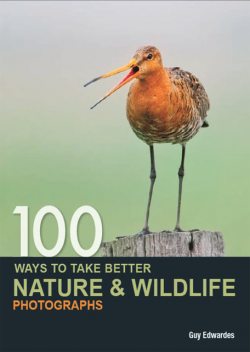 100 Ways to Take Better Nature & Wildlife Photographs, Guy Edwardes
