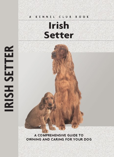 Irish Setter, Margaret Williams