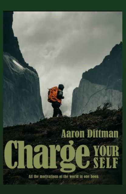Charge Yourself, Aaron Dittman