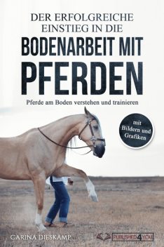 Der erfolgreiche Einstieg in die Bodenarbeit mit Pferden: Pferde am Boden verstehen und trainieren (mit Bildern und Grafiken), Carina Dieskamp