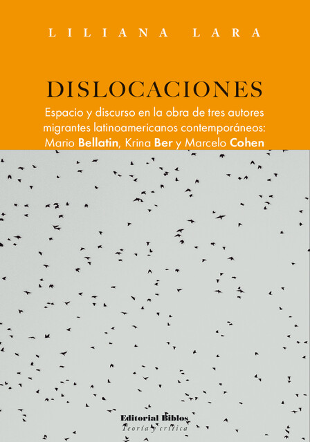 Dislocaciones, Liliana Lara