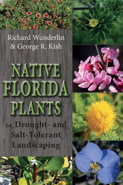 Native Florida Plants for Drought- and Salt-Tolerant Landscaping, George R Kish, Richard Wunderlin