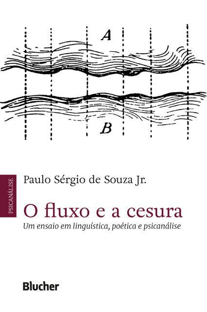 O fluxo e a cesura, Paulo Sérgio de Souza Jr.