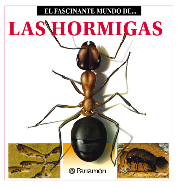 Las Hormigas, Maira Àngels Julivert
