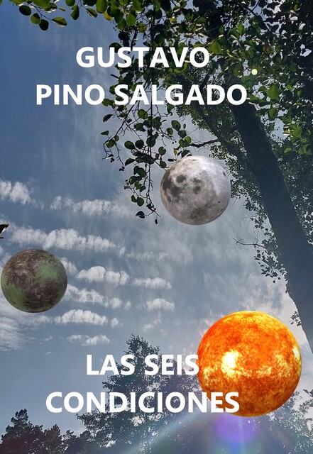 Las seis condiciones, Gustavo Pino Salgado
