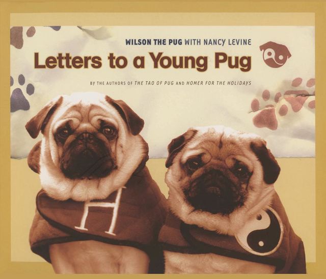 Letters to a Young Pug, Nancy Levine, Wilson the Pug