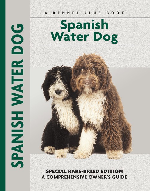 Spanish Water Dog, Cristina Desarnaud