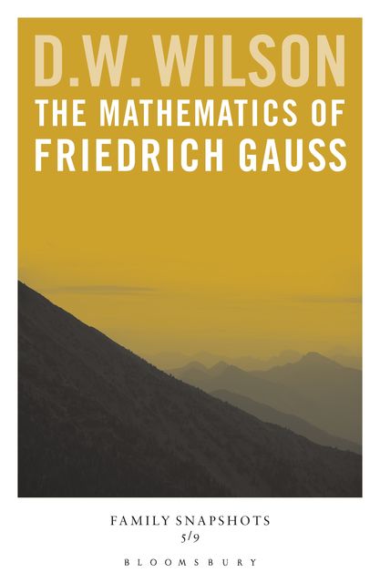 The Mathematics of Friedrich Gauss, D.W.Wilson