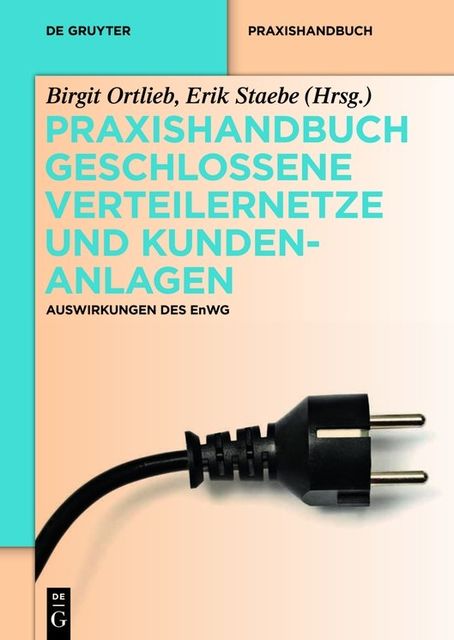 Praxishandbuch Geschlossene Verteilernetze und Kundenanlagen, Birgit Ortlieb, Erik Staebe