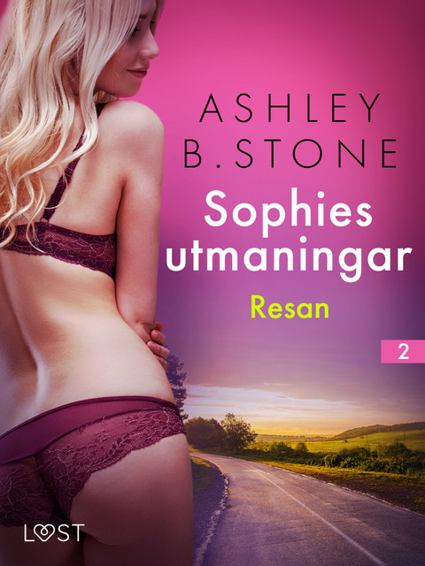 Sophies utmaningar 2: Resan – erotisk novell, Ashley B. Stone