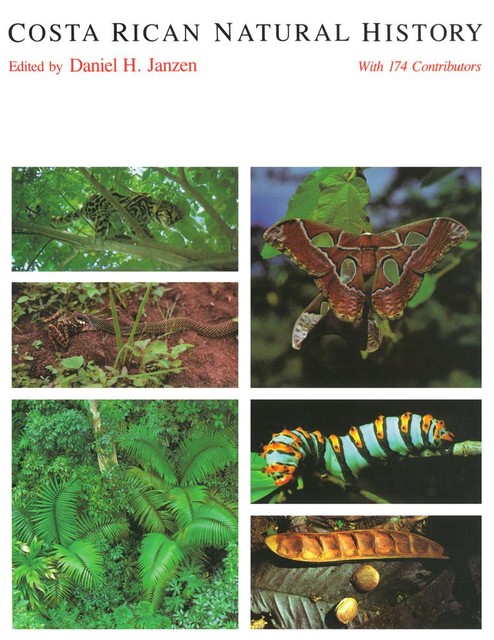 Costa Rican Natural History, Daniel H. Janzen