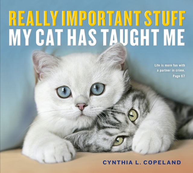 Really Important Stuff My Cat Has Taught Me, Cynthia Copeland