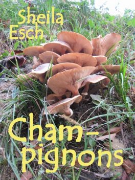 Champignons, Sheila Esch