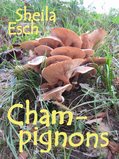 Champignons, Sheila Esch
