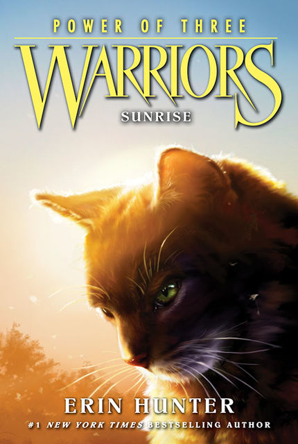 Warriors: Power of Three #6: Sunrise, Erin Hunter