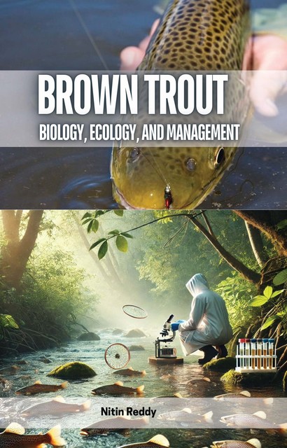 Brown Trout, Nitin Reddy